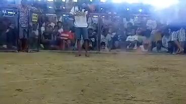 tindi Ng bawe patay agad