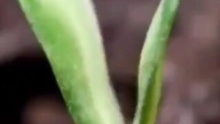 那一刻，他成神了