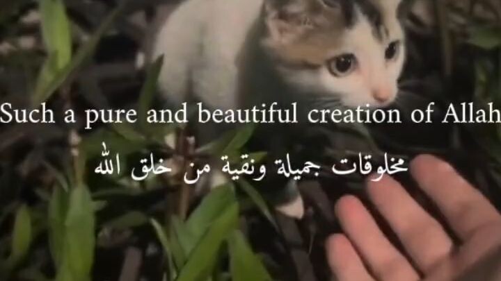 Allah Is Everything 😘