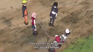 Sakura ☕