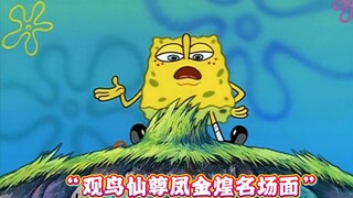 “观鸟仙尊凤金煌名场面”