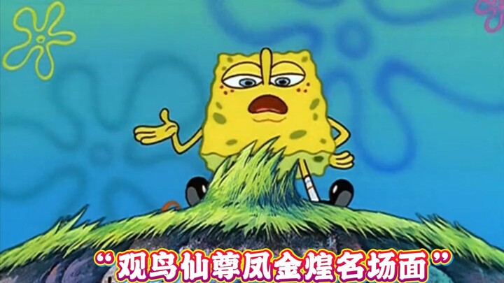 ฉากเด่นของ "เซียนนกผู้ยิ่งใหญ่เฟิ่งจินหวง"