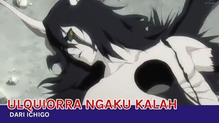 Ulquiorra ngaku kalah dari Ichigo ‼️