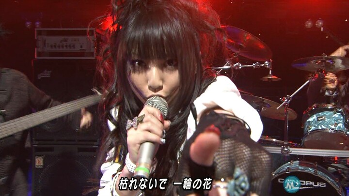 HIGH and MIGHTY COLOR - Ichirin no Hana [Live]