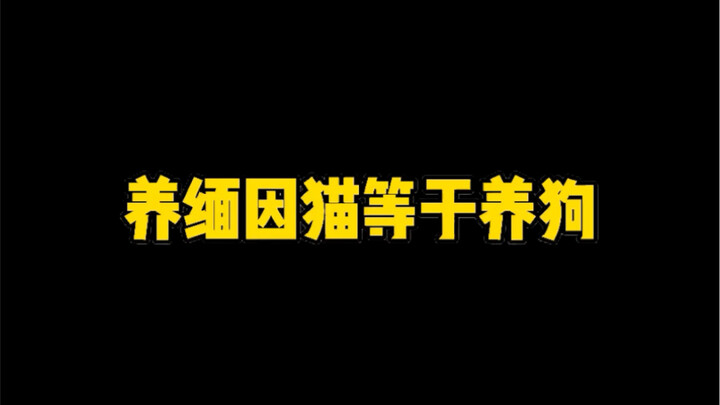 ฉันสงสัยว่าตัวเองเลี้ยงหมาปลอมอยู่รึเปล่า