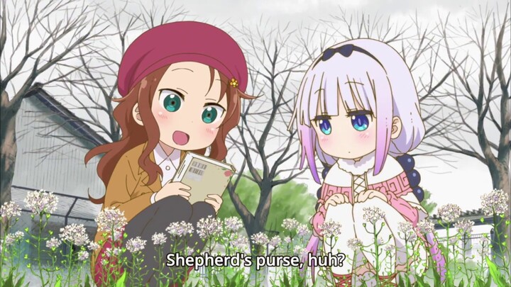 All Saikawa Blushes! Chi no Maid Dragon