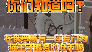 你们知道吗?在俄罗斯有一座专门为猫主子服务的城市呢