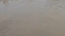 “我记得这里有个坑”  “您记得真准”