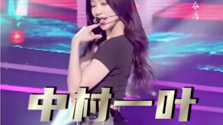 心之所向 素履以往 生如逆旅一苇以航