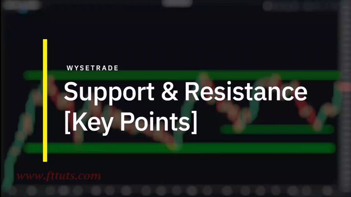 Wysetrade Trading Masterclass XVII-02. The Foundation-06. Support & Resistance