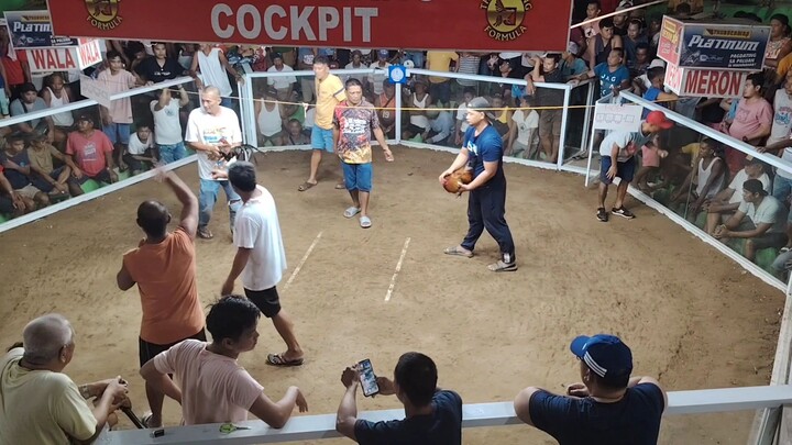 Ilag, timing at diskarte(lemon) #hilights @sabongnation