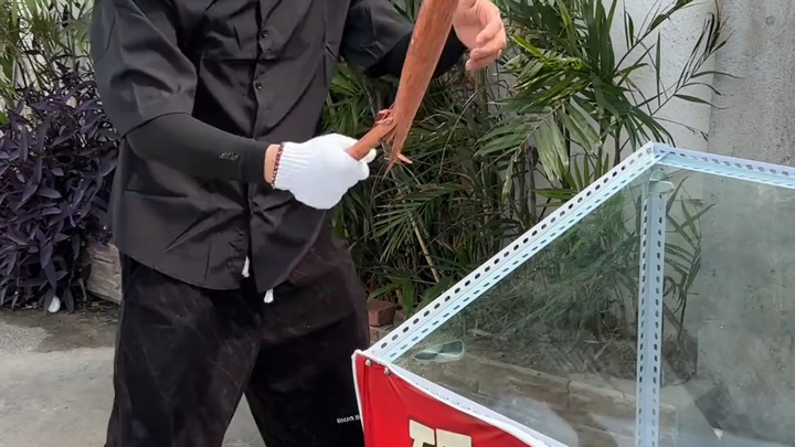 The Challenge Is Your Lie