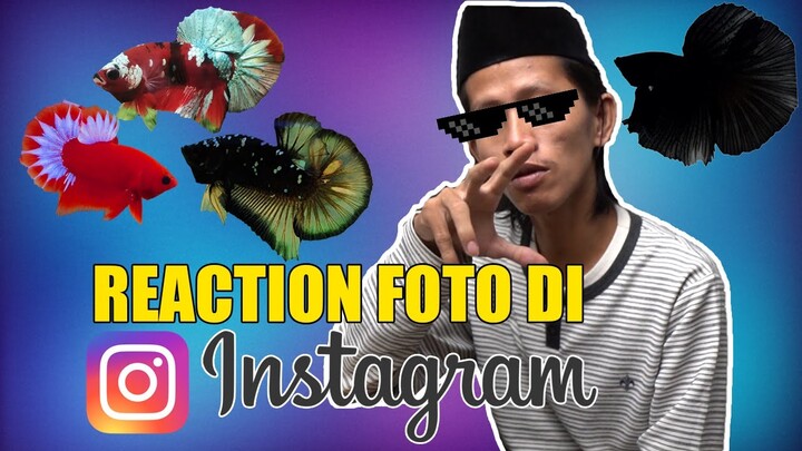 NAH INI, SEKALIAN PENGUMUMAN GIVE AWAY!