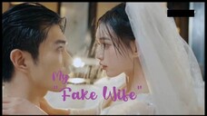 My Fake Wife Ep. 17-20