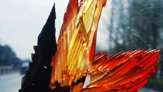 Ein Tower Skylight Wings are coming!