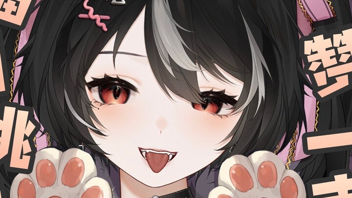 ไม่ชอบมัน! อย่าสนับสนุนทุกความฝันที่ไม่รู้ว่าจะอยู่หรือตาย!