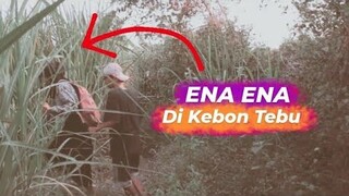 KENIKMATAN SEMENTARA BIKIN KETAGIHAN - "KEBON TEBU SAKSI BISU" - (film pendek)