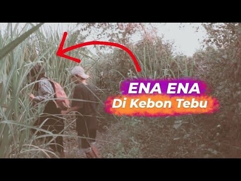 KENIKMATAN SEMENTARA BIKIN KETAGIHAN - "KEBON TEBU SAKSI BISU" - (film pendek)