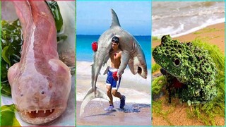 Catching Seafood 🦀 ASMR Relaxing (Catch Shark , Catch Fish ,Deep Sea Monster ) #555