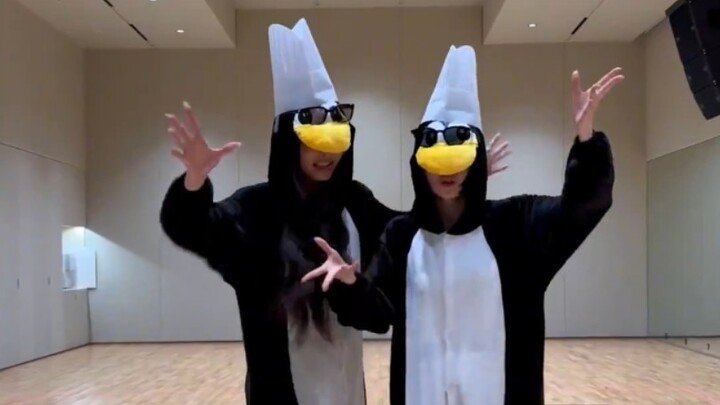 洪恩採×宫脇咲良🐧SPAGHETTI 保持高雅💅