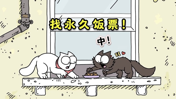 “A New Home for Henan’s Stray Cats” 1