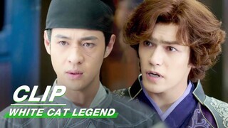 Alibaba Asked Fellow Villagers for News | White Cat Legend EP13 | 大理寺少卿游 | iQIYI