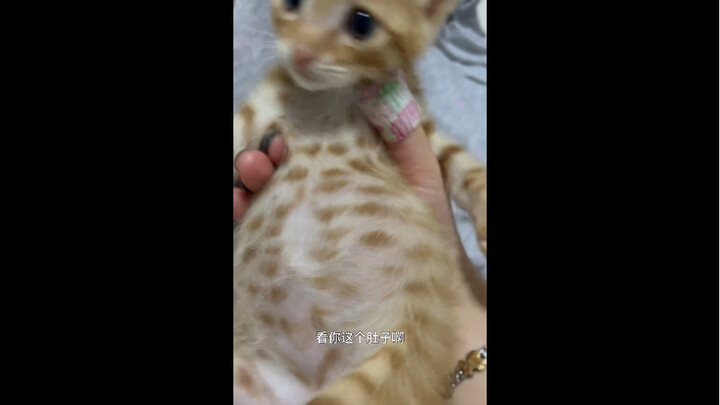 It's all my fault for not keeping a close eye on it.