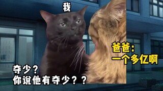 【猫meme】桑叶哥一家之爸爸和他的富翁兄弟。。