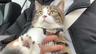 Cat Coco ออกรถครั้งแรก