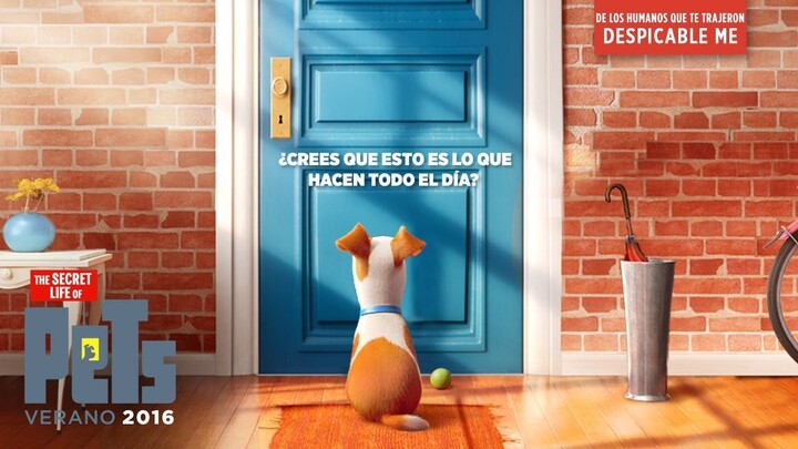 The Secret Life of Pets Watch Full Movie : Link In Description