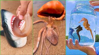 Catching Seafood 🦀🐙 ASMR Relaxing (Catch Shark , Catch Fish ,Deep Sea Monster ) #469