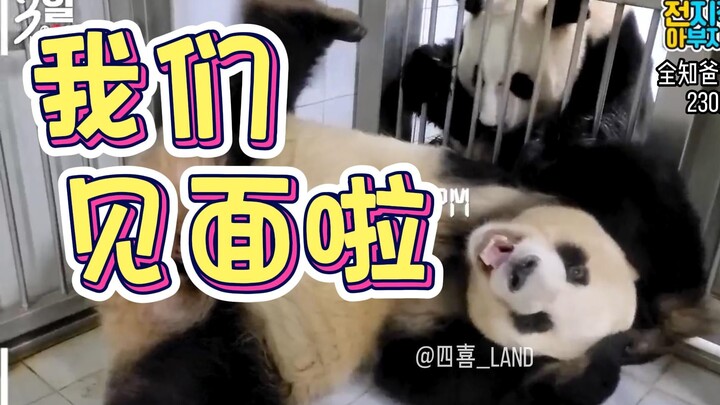 ซับจีน丨มุมมองของคุณปู่ผู้รู้ทุกสิ่ง丨230224丨ในที่สุดคู่รักเป่าหลี่ก็ได้พบกัน ดูหวานแหววและอบอุ่นหัวใจ