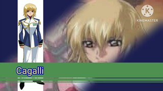 Cagalli Showcase Desblazeheatnix