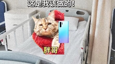 麻绳专挑细处断！自己淋过雨，所以总想着替别人撑伞！