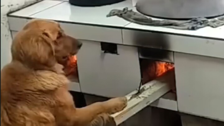 你不结婚老了谁照顾你？请看VCR！