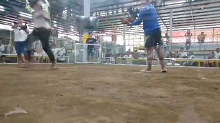 Win