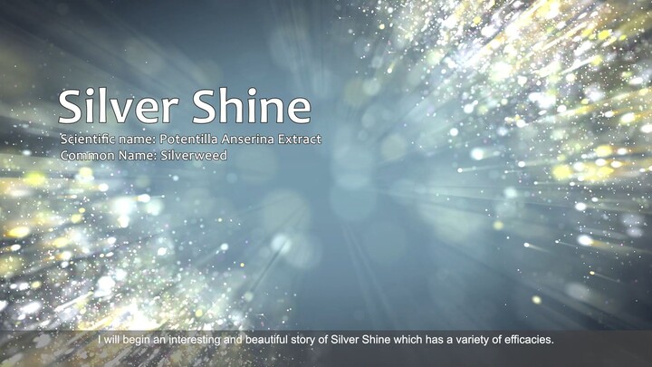 Silver Shine (ENG)_TSOC