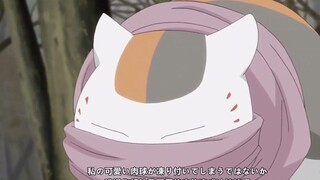 “难到你想让我可爱的肉垫冻成冰坨坨吗”猫咪老师还怕冻着
