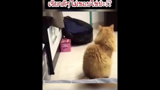 ชอบชื่อนี่หรา