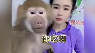 Kiểm tra nào, Khỉ: Đây có phải là cùng một người không?
