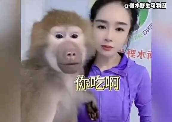 打卡，猴：这是同一个人吗？