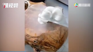 A man didn't go to the office for seven days and found mushrooms growing on the wooden tea table whe
