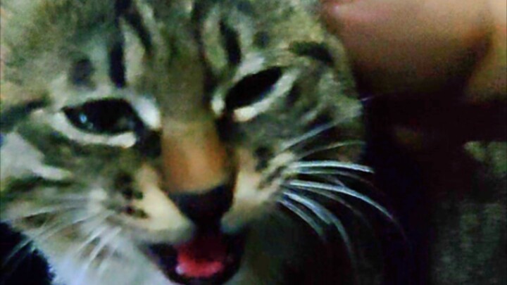 This all-night internet cafe is such a great deal, and they even offer special services (blush)