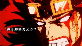 基德和罗果实觉醒争夺四皇之位