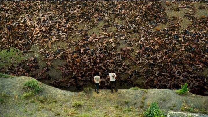 Humanity is Infected With a Virus, The World Has Turned Into a Huge Grave