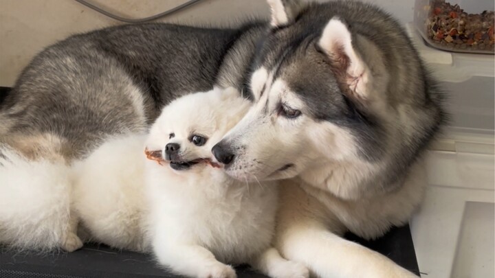 زورق الصداقة ينقلب في لحظة!