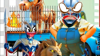 Kakak Sero yang paling ganteng, ayo Sero!