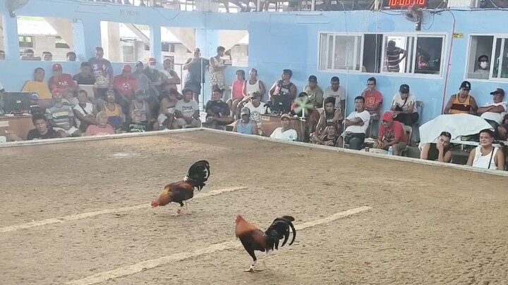 JBK MT. BANAHAW LINE second fight wala sugat WIN 3 stag