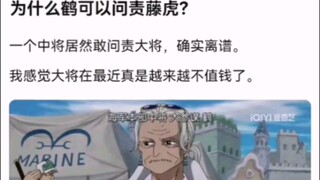 为什么鹤可以问责藤虎？【海贼王】