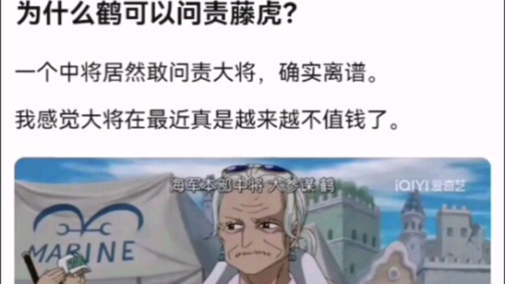 为什么鹤可以问责藤虎？【海贼王】